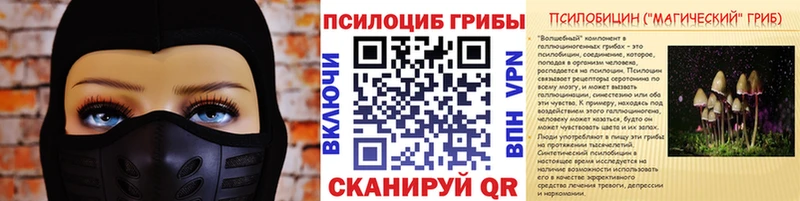 Галлюциногенные грибы Cubensis  Купить где  Балашиха 